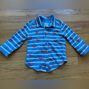 Hatley Blue Striped Kids Shirt with Red Dinosaur Print, size 3